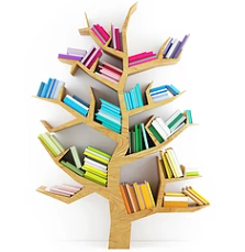 2025 年 11 月 30 日